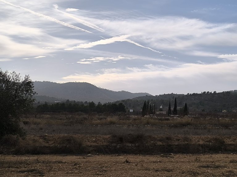 Villa for Sale in Monovar, Alicante 14
