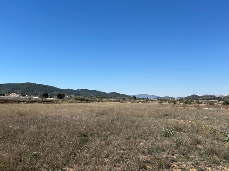 Plot for Sale in Monovar, Alicante 1