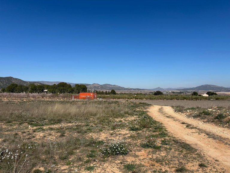 Plot for Sale in Monovar, Alicante 2