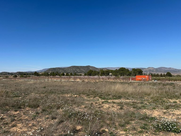 Plot for Sale in Monovar, Alicante 7