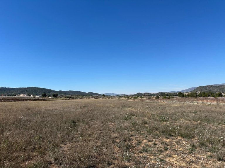 Plot for Sale in Monovar, Alicante 6