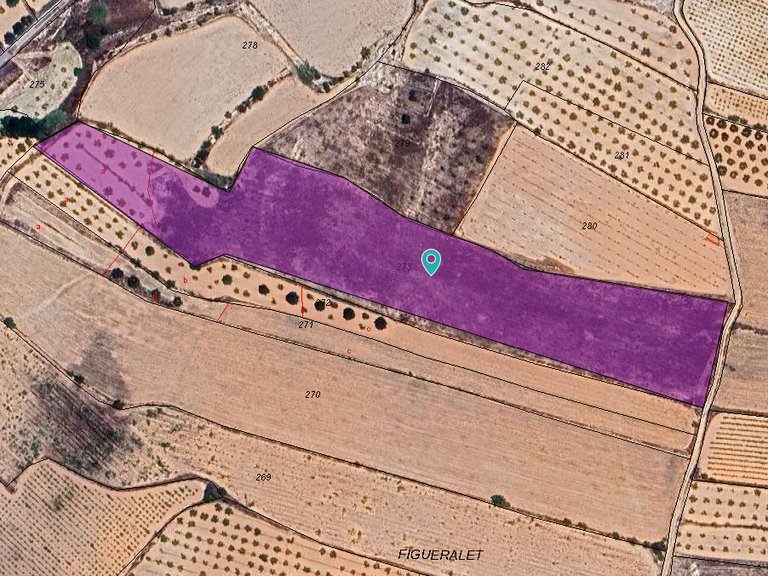 Plot for Sale in Monovar, Alicante 3