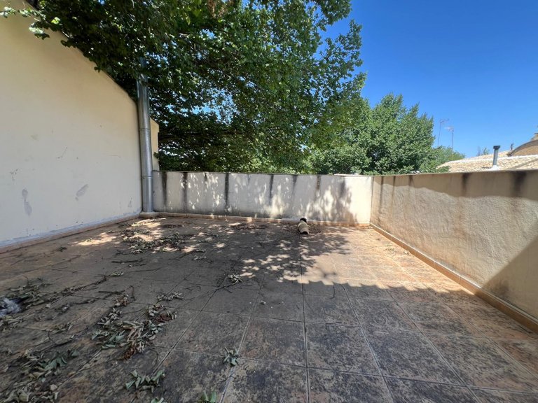 Town House for Sale in Pinoso, Alicante 35
