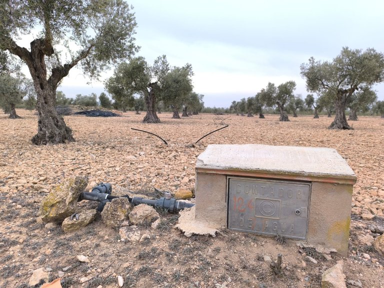 Plot for Sale in Yecla, Murcia 1