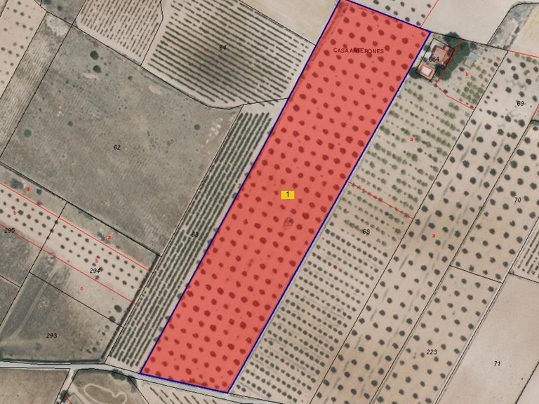 Plot for Sale in Yecla, Murcia 7