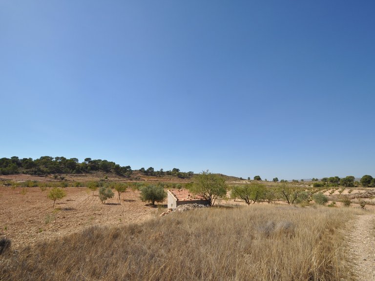 Plot for Sale in Torre Del Rico, Murcia 6