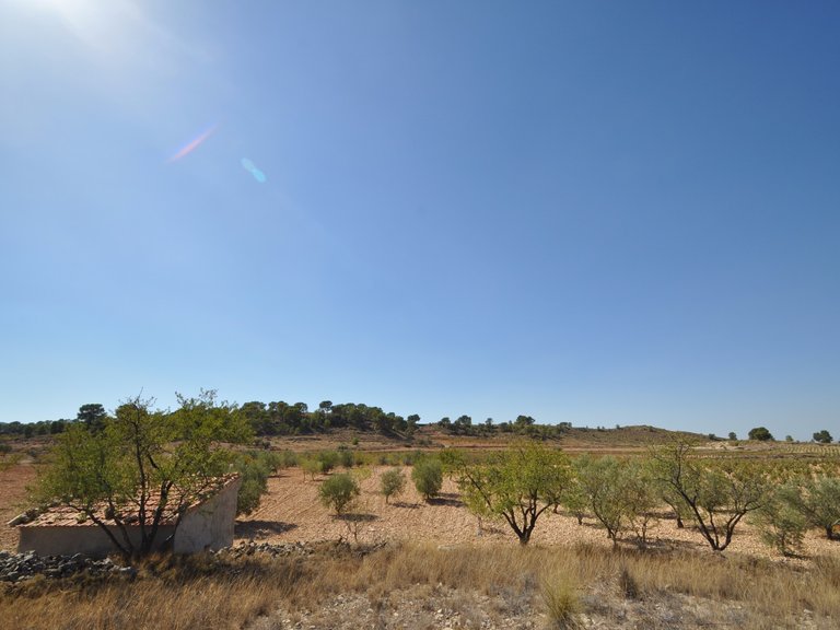 Plot for Sale in Torre Del Rico, Murcia 5