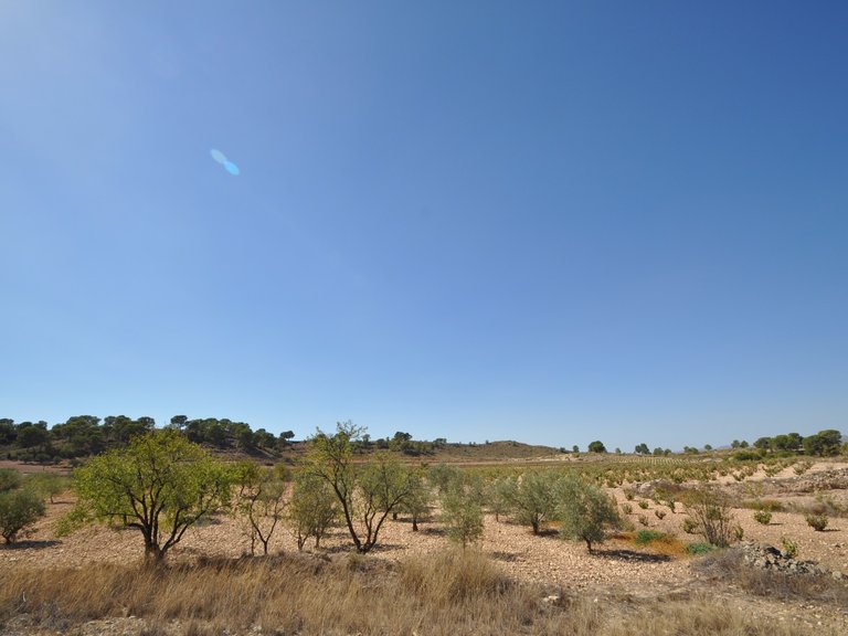 Plot for Sale in Torre Del Rico, Murcia 4