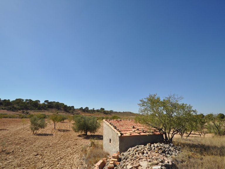 Plot for Sale in Torre Del Rico, Murcia 3