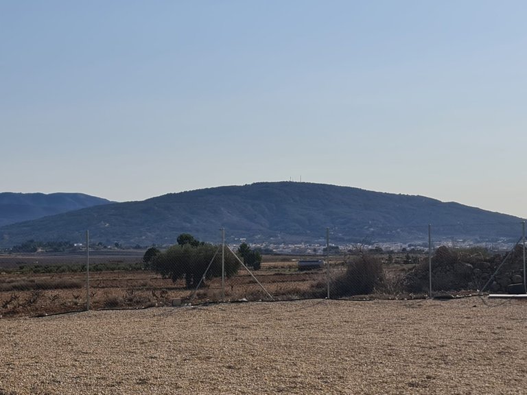 Villa for Sale in Pinoso, Alicante 19