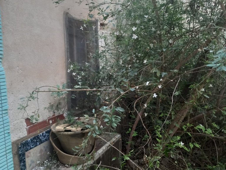 Town House for Sale in Canada De La Lena, Murcia 26