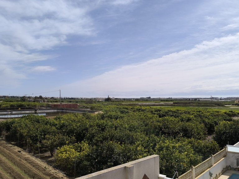 Villa for Sale in Costa Blanca El Raso, Alicante 5