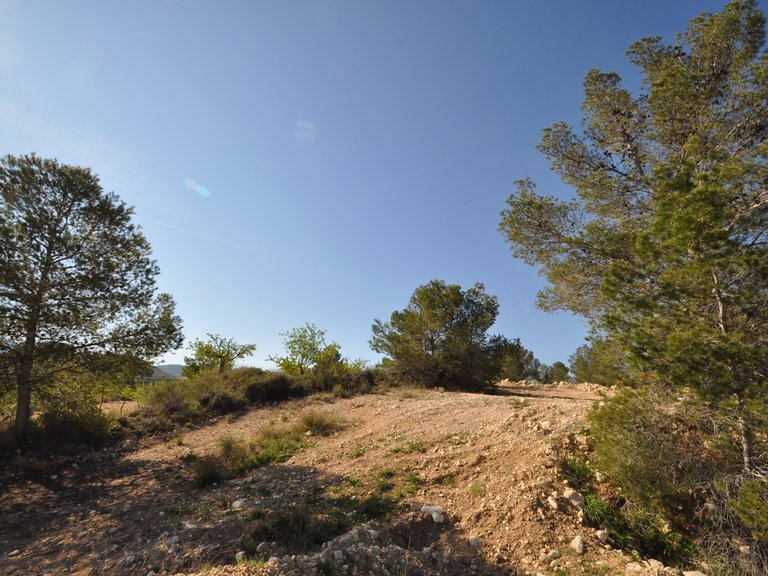Plot for Sale in La Zarza, Murcia 8