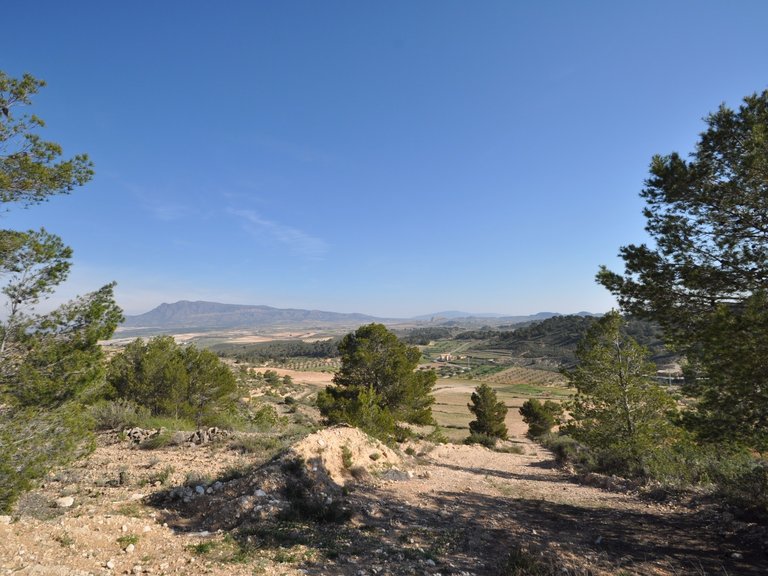 Plot for Sale in La Zarza, Murcia 1
