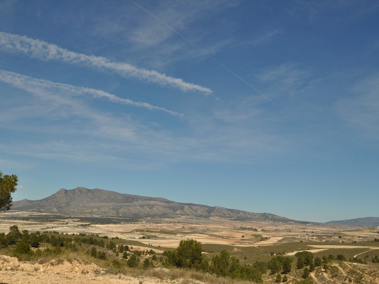 Plot for Sale in La Zarza, Murcia 5