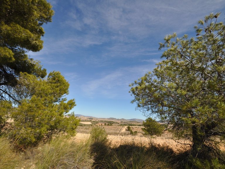 Plot for Sale in La Zarza, Murcia 10