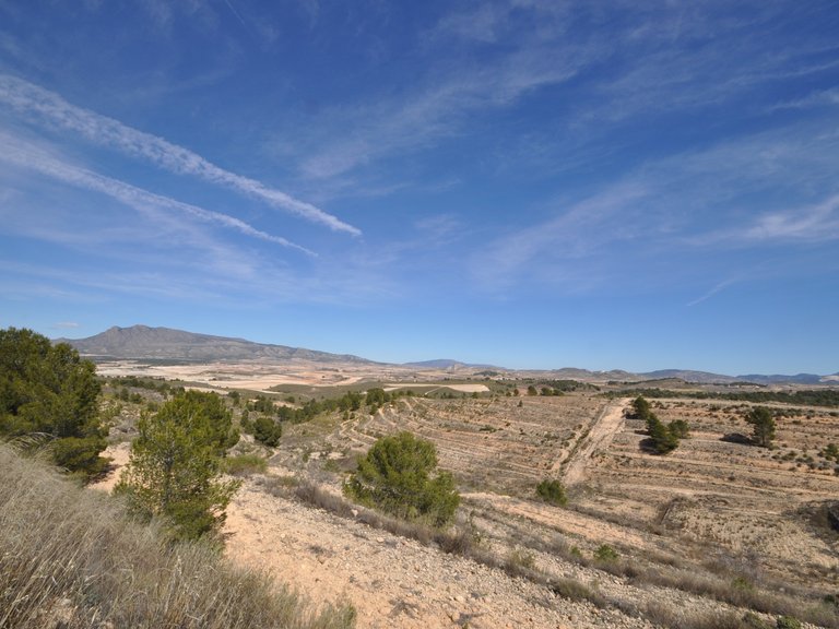 Plot for Sale in La Zarza, Murcia 11