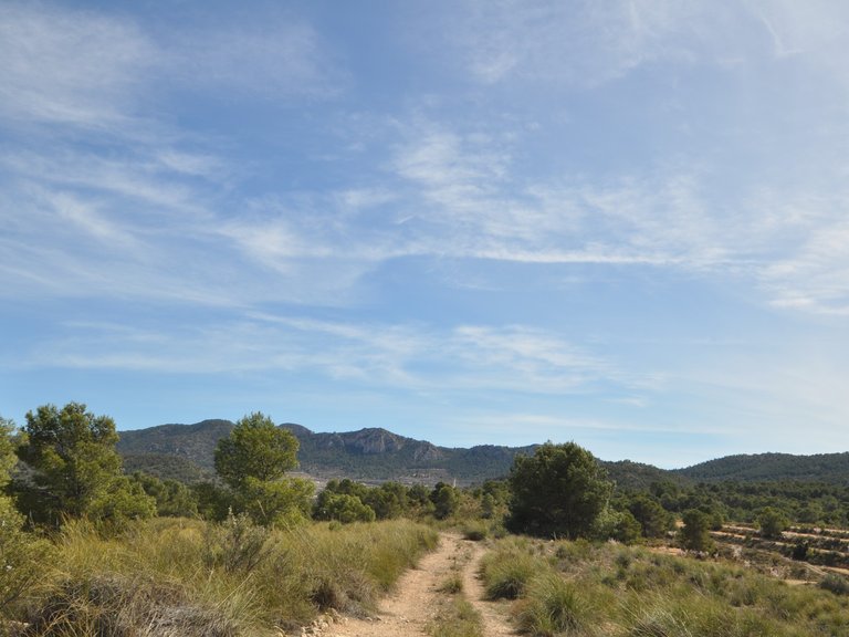 Plot for Sale in La Zarza, Murcia 3