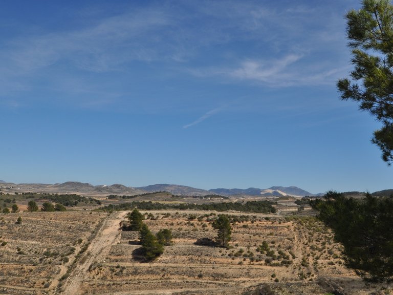 Plot for Sale in La Zarza, Murcia 13