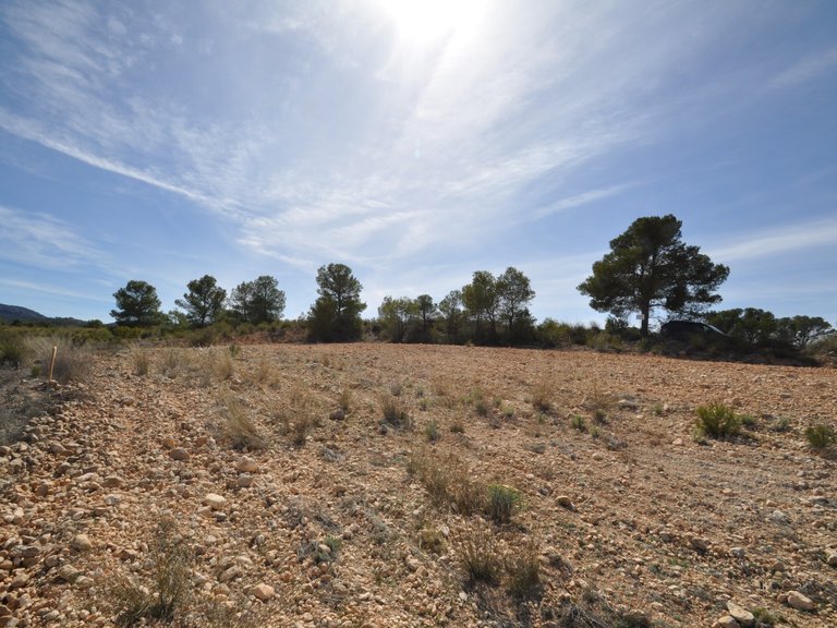 Plot for Sale in La Zarza, Murcia 15
