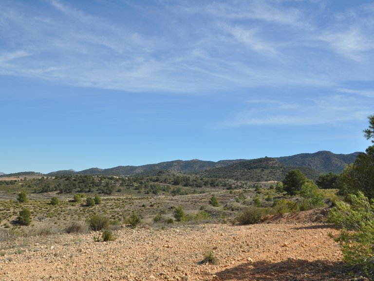 Plot for Sale in La Zarza, Murcia 17