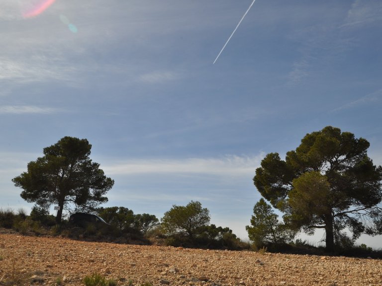 Plot for Sale in La Zarza, Murcia 16