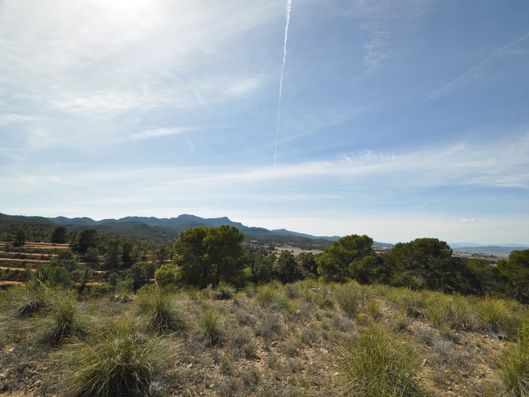 Plot for Sale in La Zarza, Murcia 18