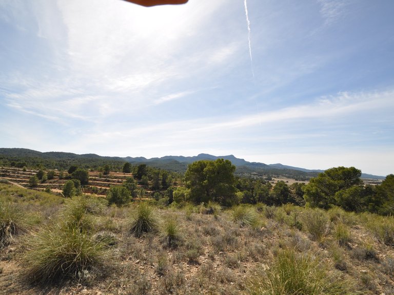 Plot for Sale in La Zarza, Murcia 23
