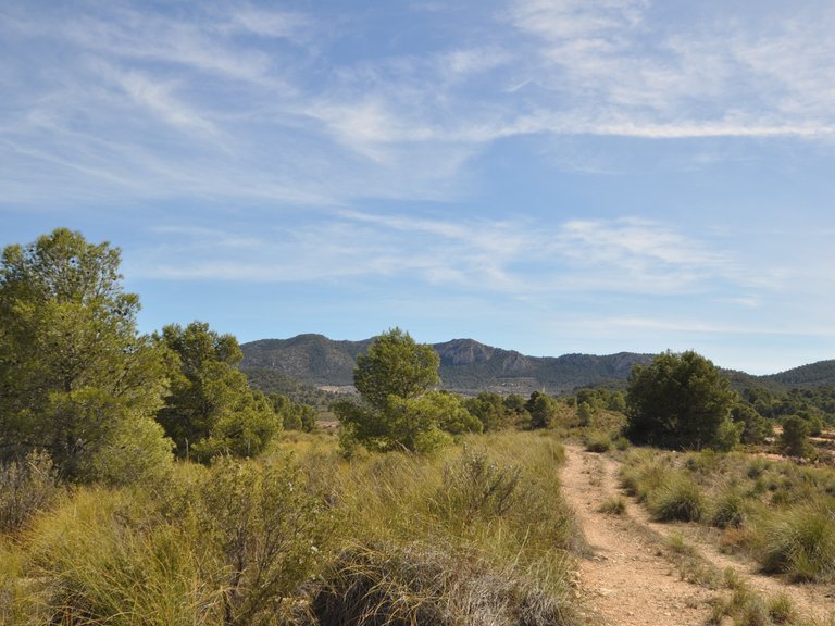 Plot for Sale in La Zarza, Murcia 20