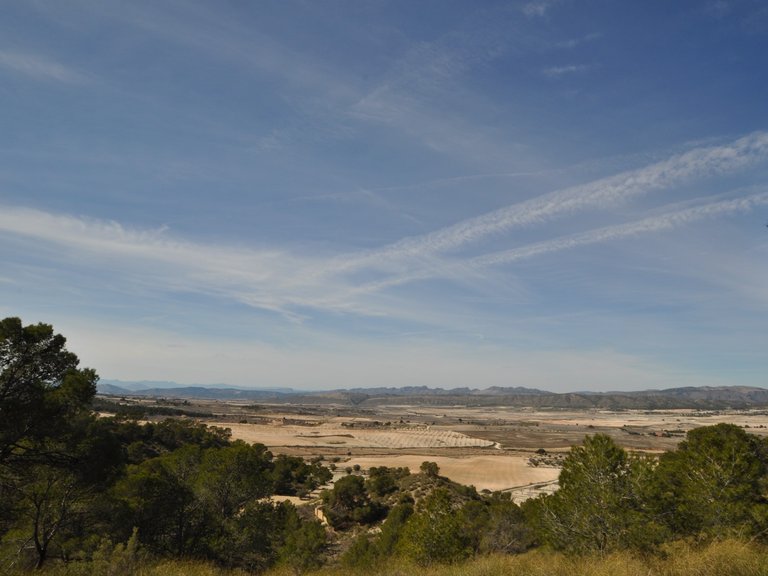 Plot for Sale in La Zarza, Murcia 9