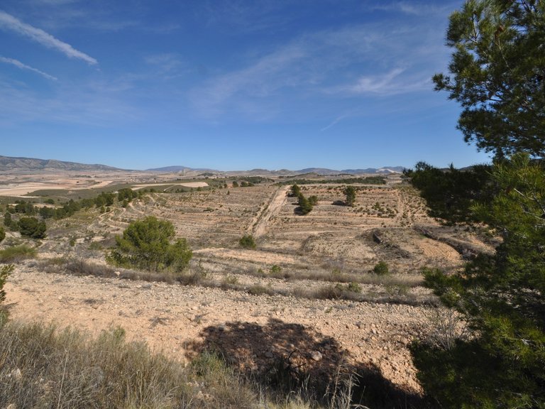 Plot for Sale in La Zarza, Murcia 12