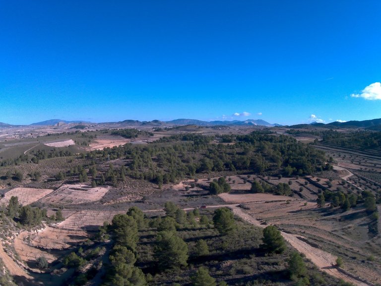 Plot for Sale in La Zarza, Murcia 3