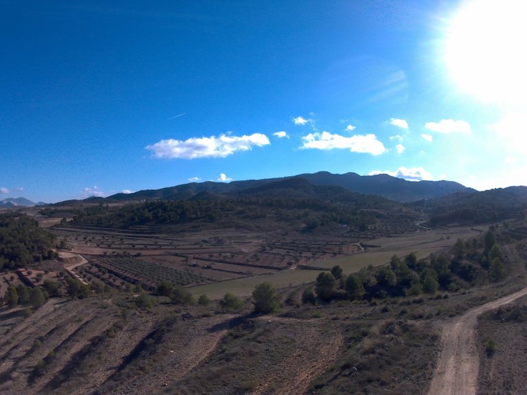 Plot for Sale in La Zarza, Murcia 4