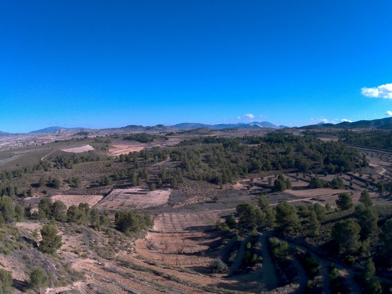 Plot for Sale in La Zarza, Murcia 6