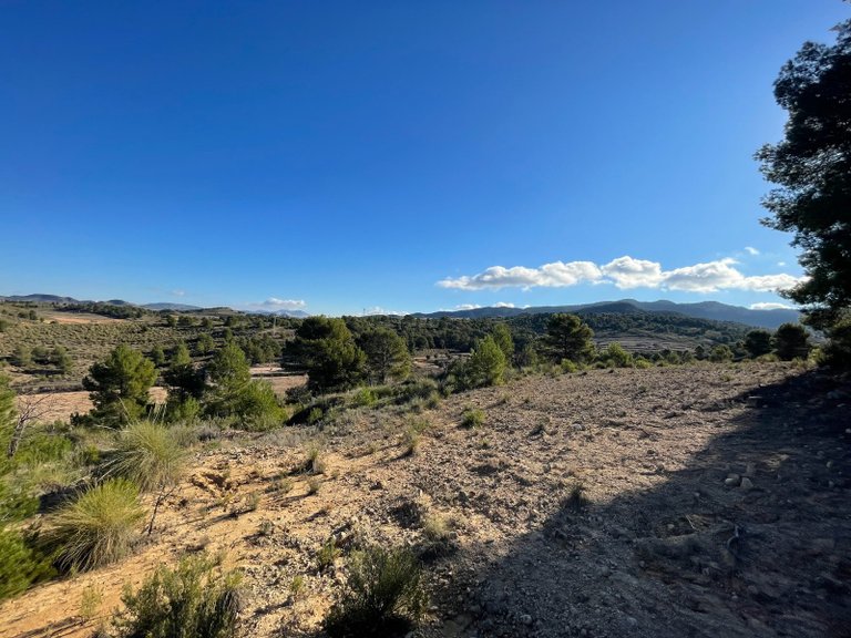Plot for Sale in La Zarza, Murcia 8