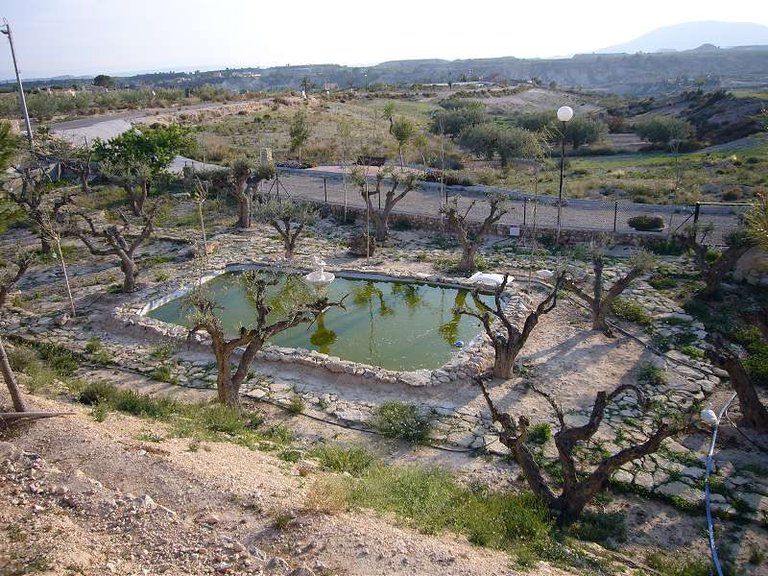 Villa for Sale in Abanilla, Murcia 11