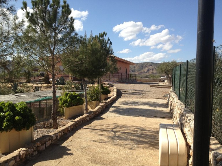Villa for Sale in Abanilla, Murcia 29