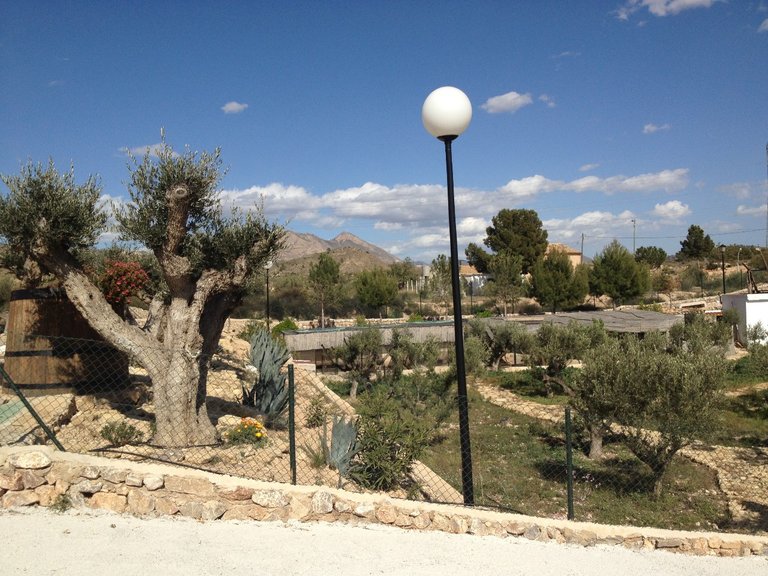 Villa for Sale in Abanilla, Murcia 25