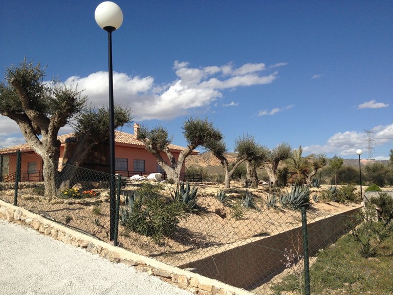 Villa for Sale in Abanilla, Murcia 18