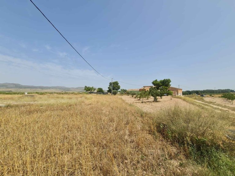 Plot for Sale in Yecla, Murcia 7