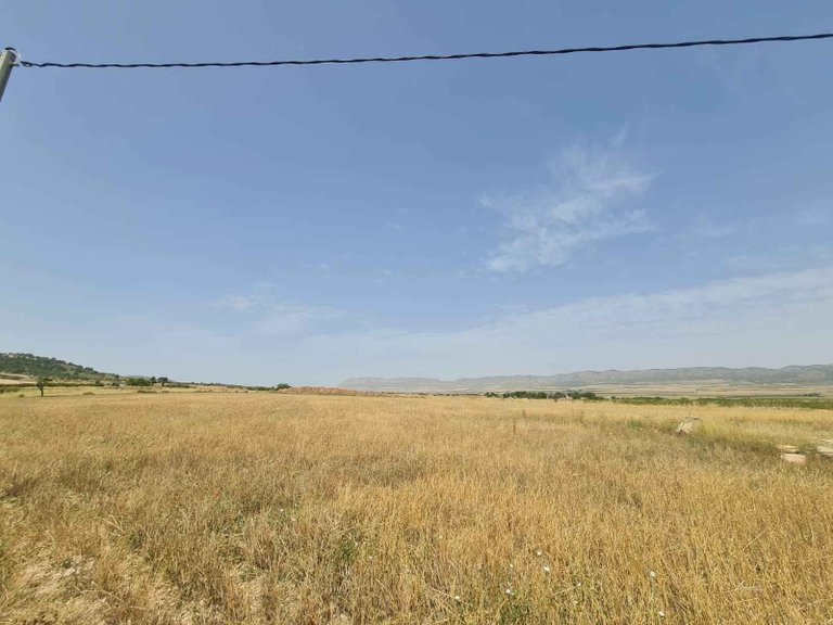 Plot for Sale in Yecla, Murcia 2
