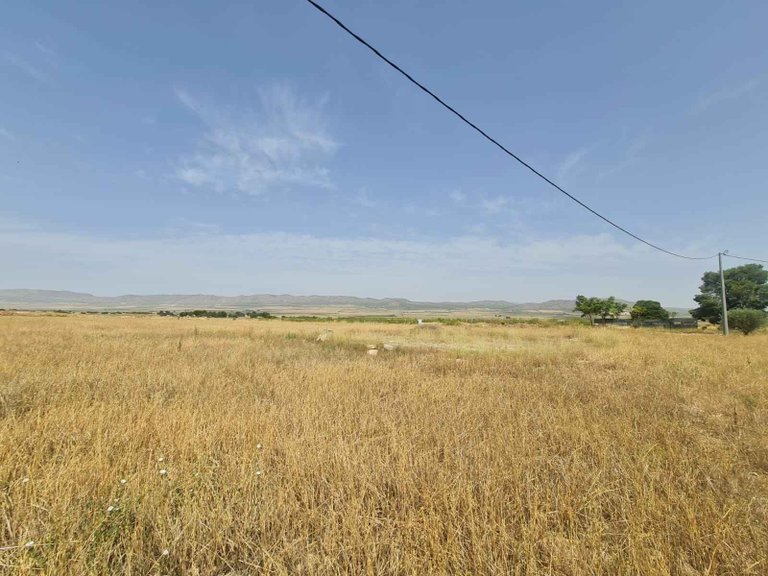 Plot for Sale in Yecla, Murcia 1