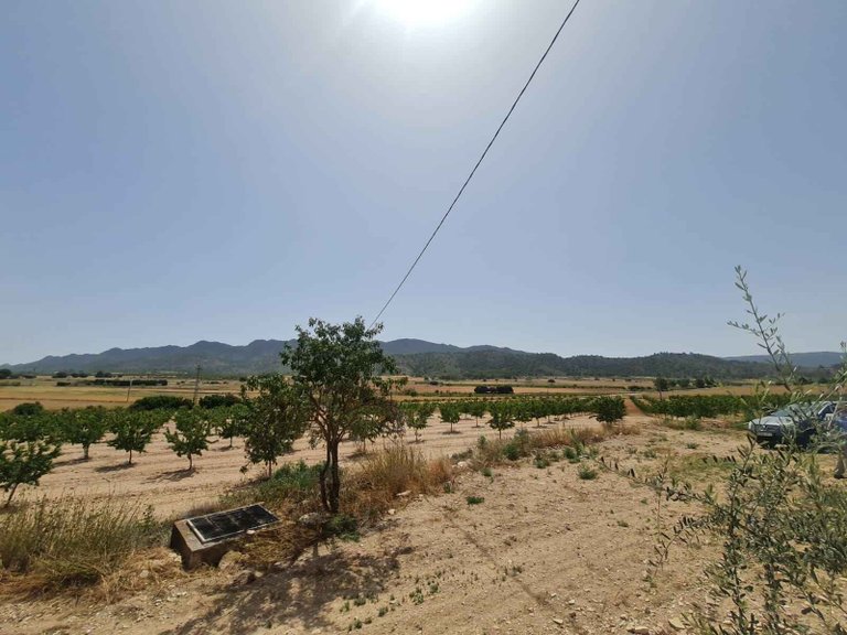 Plot for Sale in Yecla, Murcia 4