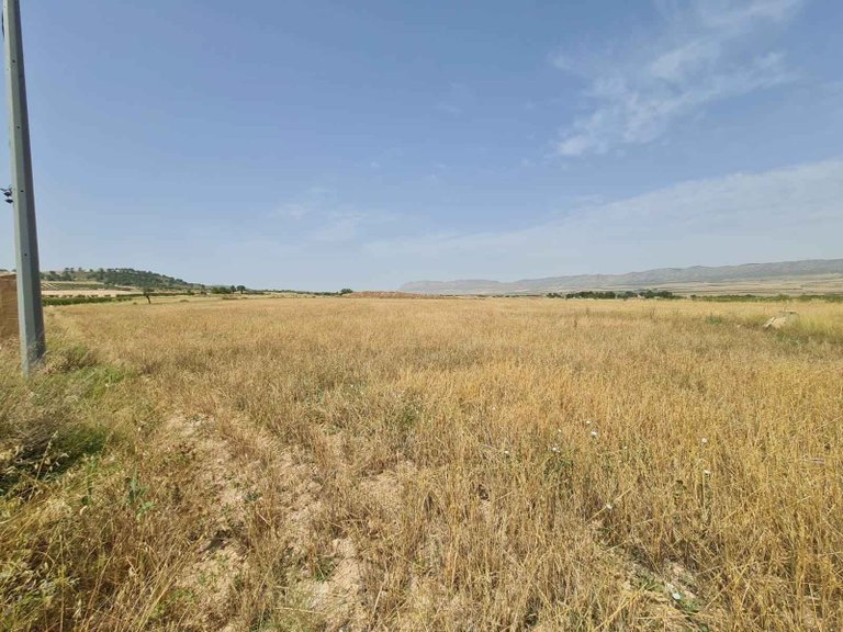 Plot for Sale in Yecla, Murcia 8