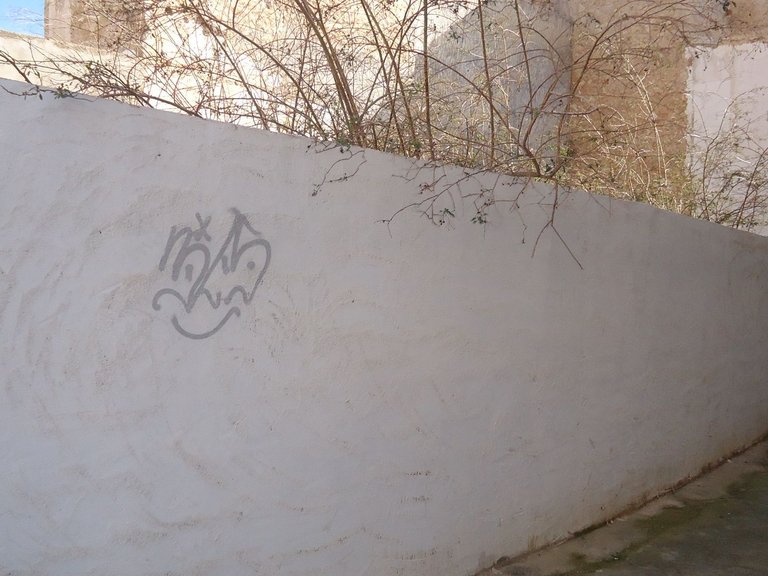 Plot for Sale in Monovar, Alicante 2