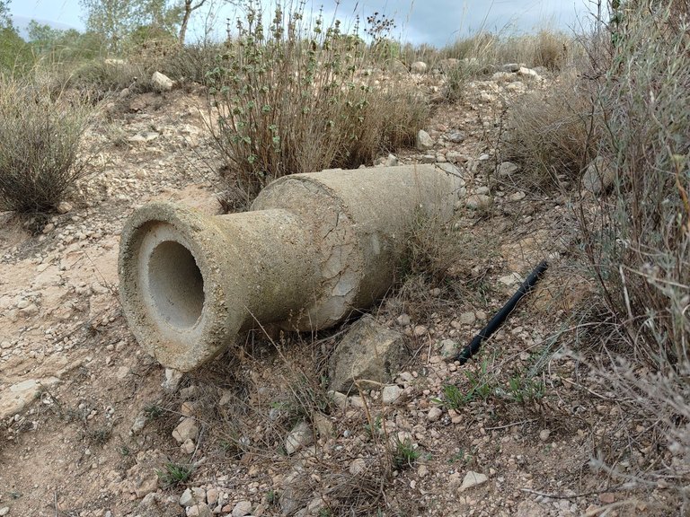 Plot for Sale in Monovar, Alicante 6