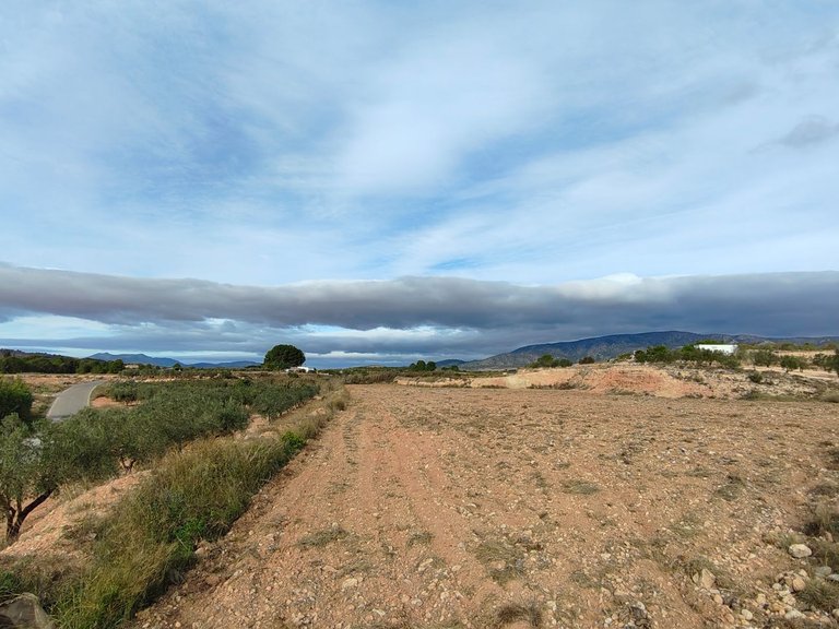 Plot for Sale in Monovar, Alicante 4