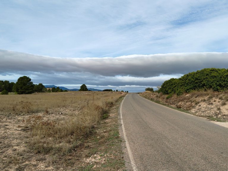 Plot for Sale in Monovar, Alicante 15