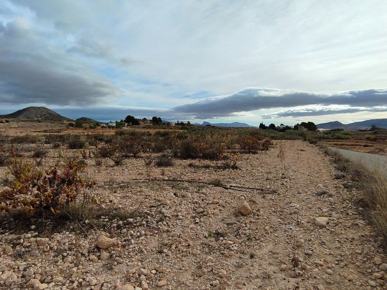 Plot for Sale in Monovar, Alicante 12