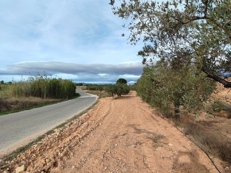Plot for Sale in Monovar, Alicante 2